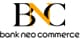 BSI Net logo